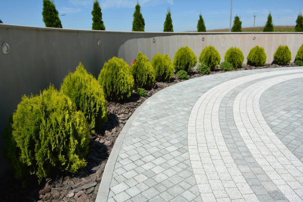 Best Local Driveway Pavers  in Keene, NH